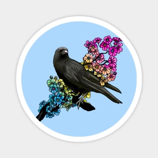 Pan Crow Magnet